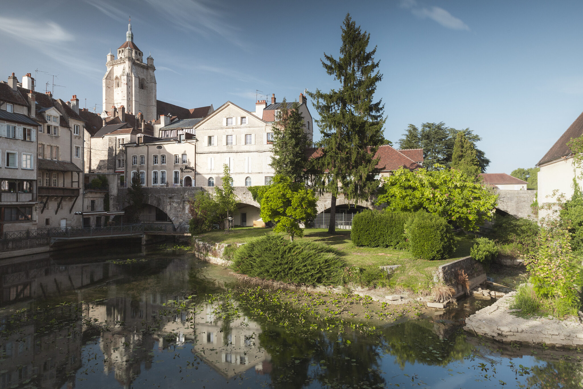 Photographie de paysage, La vue sur la vielle ville de Dôle avec la collégiale et un jardin en premier plan.